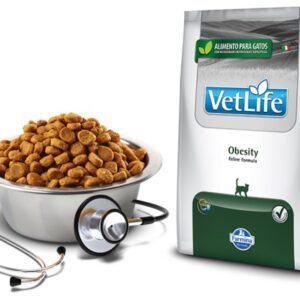 VET LIFE OBESITY FELINE 2 KILOS