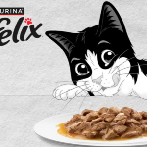 Alimento Húmedo para Gatos Felix en Lata